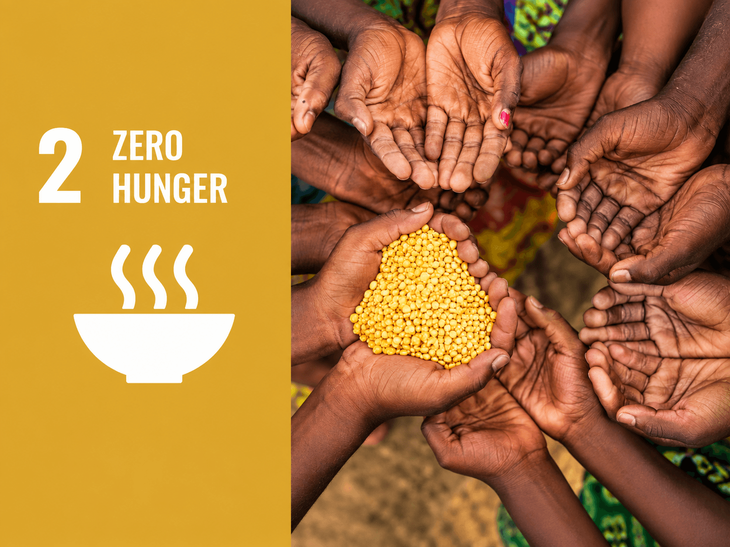 SDG 2 Zero Hunger visual representing food production, agriculture and resilient food systems.