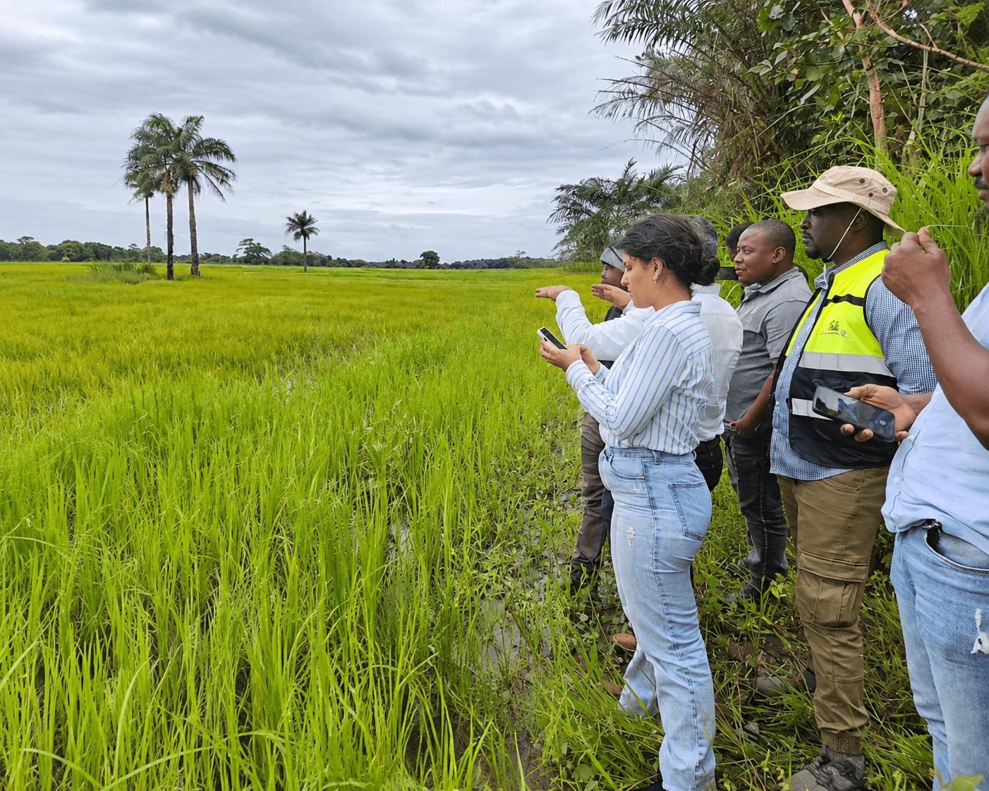 Climate-Smart Agriculture