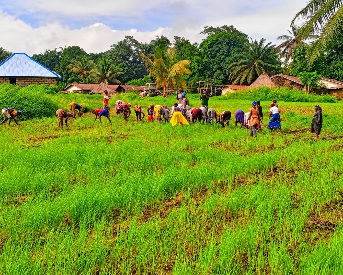 Agriculture & Farm Management