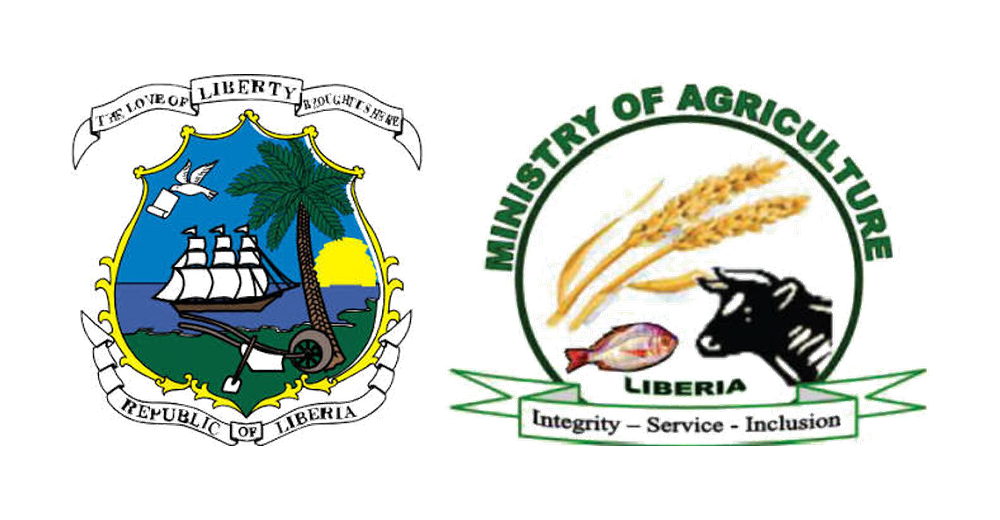 Partner 09