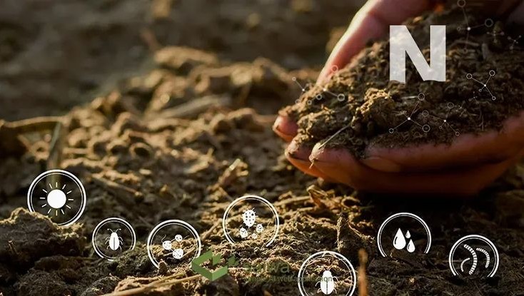 Soil Quality Testing